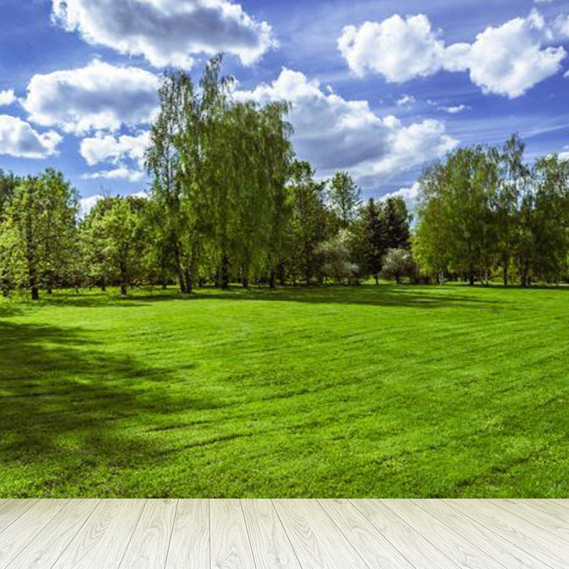 Large Sky Scenery Wall Mural Contemporary Natural Landscape Wall Decor in Pastel Color Green Clearhalo 'Wall Decor' 'Wall Mural' 1784585