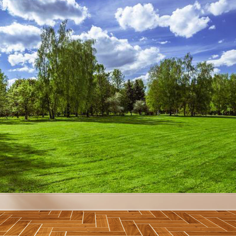 Large Sky Scenery Wall Mural Contemporary Natural Landscape Wall Decor in Pastel Color Clearhalo 'Wall Decor' 'Wall Mural' 1784586