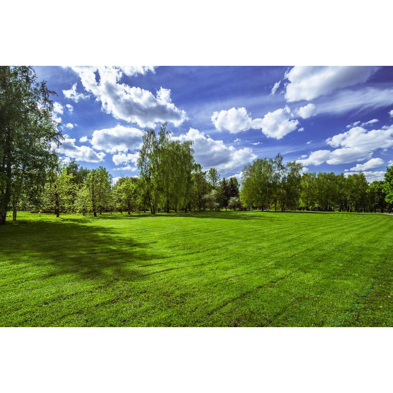 Large Sky Scenery Wall Mural Contemporary Natural Landscape Wall Decor in Pastel Color Clearhalo 'Wall Decor' 'Wall Mural' 1784588