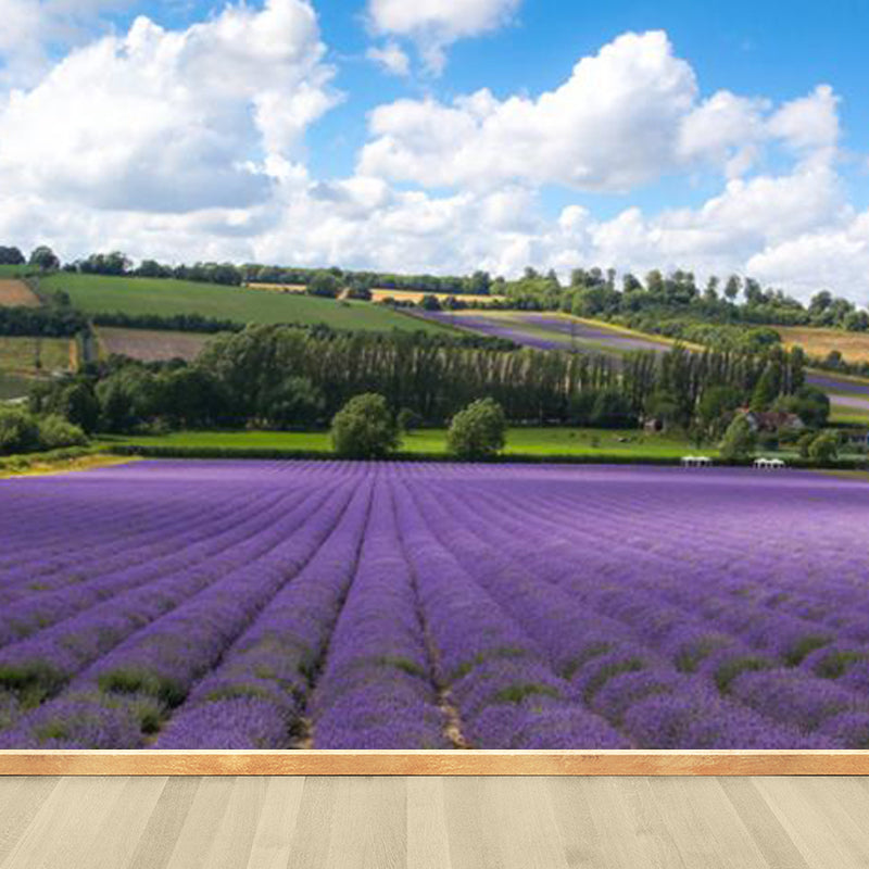 Large Sky Scenery Wall Mural Contemporary Natural Landscape Wall Decor in Pastel Color Clearhalo 'Wall Decor' 'Wall Mural' 1784591