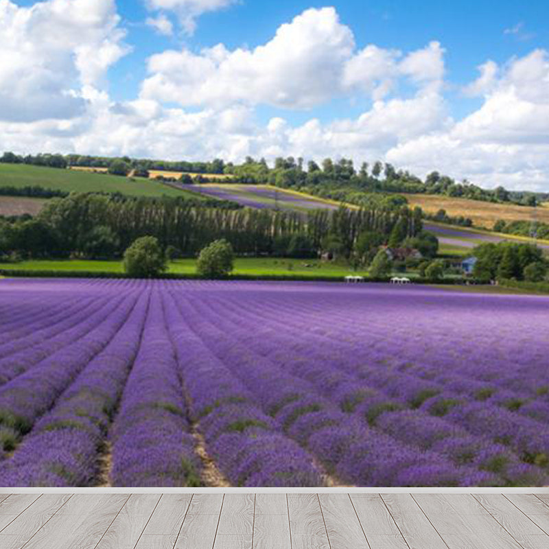 Large Sky Scenery Wall Mural Contemporary Natural Landscape Wall Decor in Pastel Color Clearhalo 'Wall Decor' 'Wall Mural' 1784592