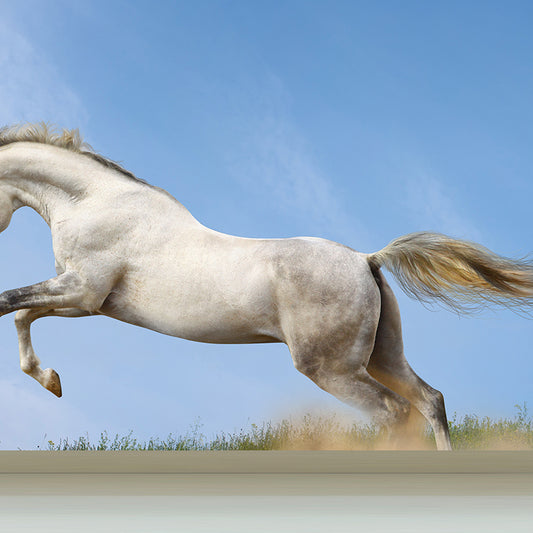 Big Energetic Horse Mural Wallpaper Decorative Contemporary Dining Room Wall Decor
