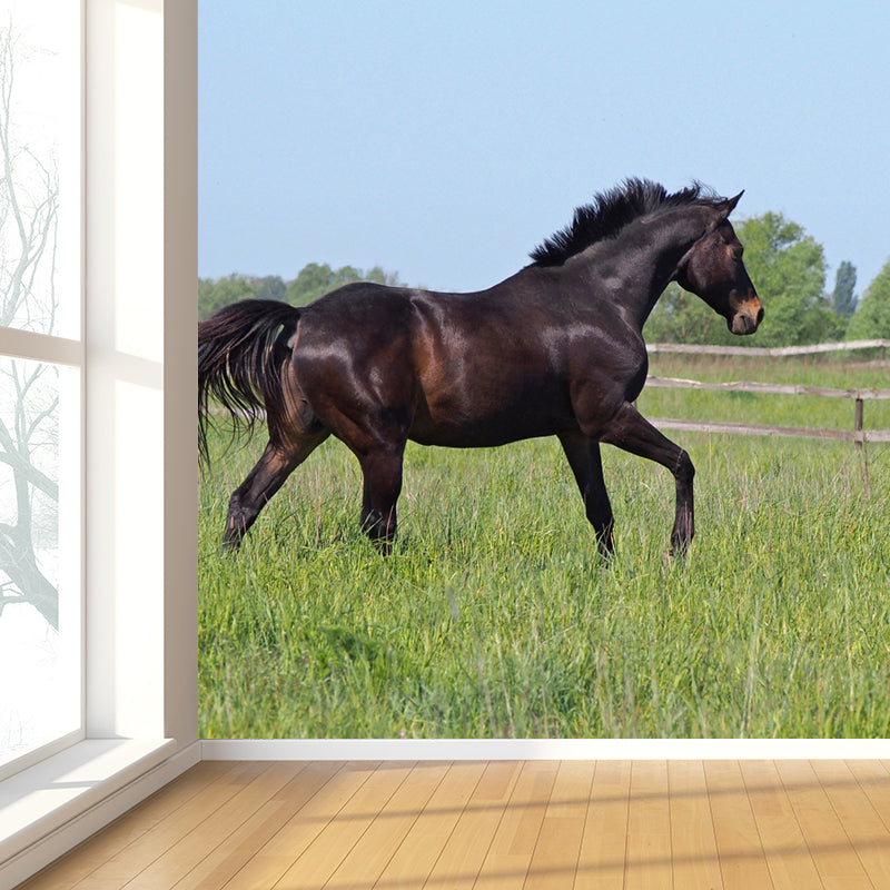 Pastel Color Running Horse Mural Wallpaper Animals Contemporary Stain-Proof Wall Art Clearhalo 'Wall Decor' 'Wall Mural' 1785173