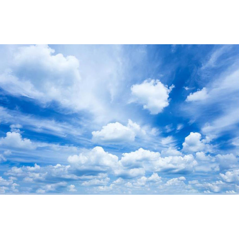 Full Size Illustration Modern Mural Decal with Sky Scene in Soft Color, Made to Measure Clearhalo 'Wall Decor' 'Wall Mural' 1785338