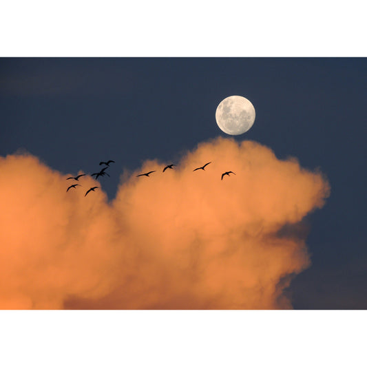 Modern Dusk Scenery Mural in Yellow-Blue Bird Flock and Moon Wall Art for Bedroom