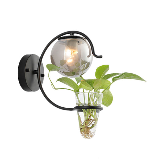 Cream/Smoke Gray Glass Orb Sconce Vintage 1-Bulb Bedroom Wall Lamp in Black/Gold with C-Shaped Arm and Plant Cup Clearhalo 'Art deco wall lights' 'Cast Iron' 'Glass' 'Industrial wall lights' 'Industrial' 'Middle century wall lights' 'Modern' 'Rustic wall lights' 'Tiffany' 'Traditional wall lights' 'Wall Lamps & Sconces' 'Wall Lights' Lighting' 1789303