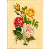 Modern Rose Flower Wall Mural Non-Woven Stain Resistant Beige Wall Art for Kitchen Clearhalo 'Wall Decor' 'Wall Mural' 1791720