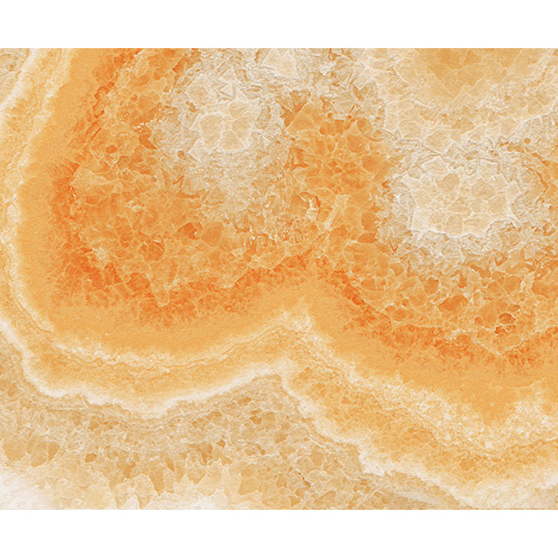 Illustration Style Abstract Mural Giant Wall Covering for Dining Room, Custom Printed Clearhalo 'Wall Decor' 'Wall Mural' 1792140