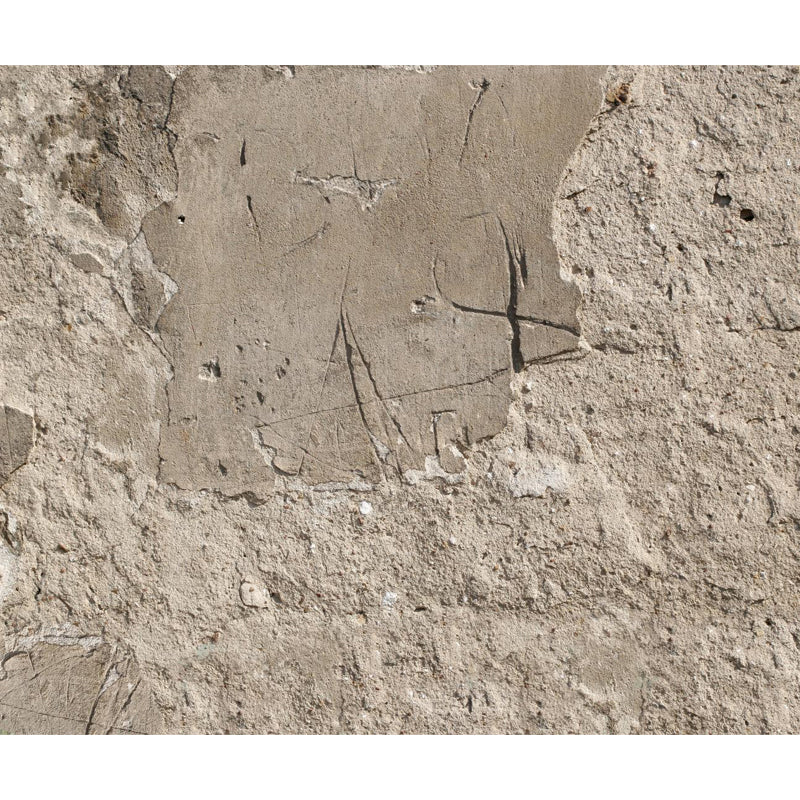 Shabby Stone Mural Wallpaper for Living Room, Light Color, Custom Size Available Clearhalo 'Wall Decor' 'Wall Mural' 1805942