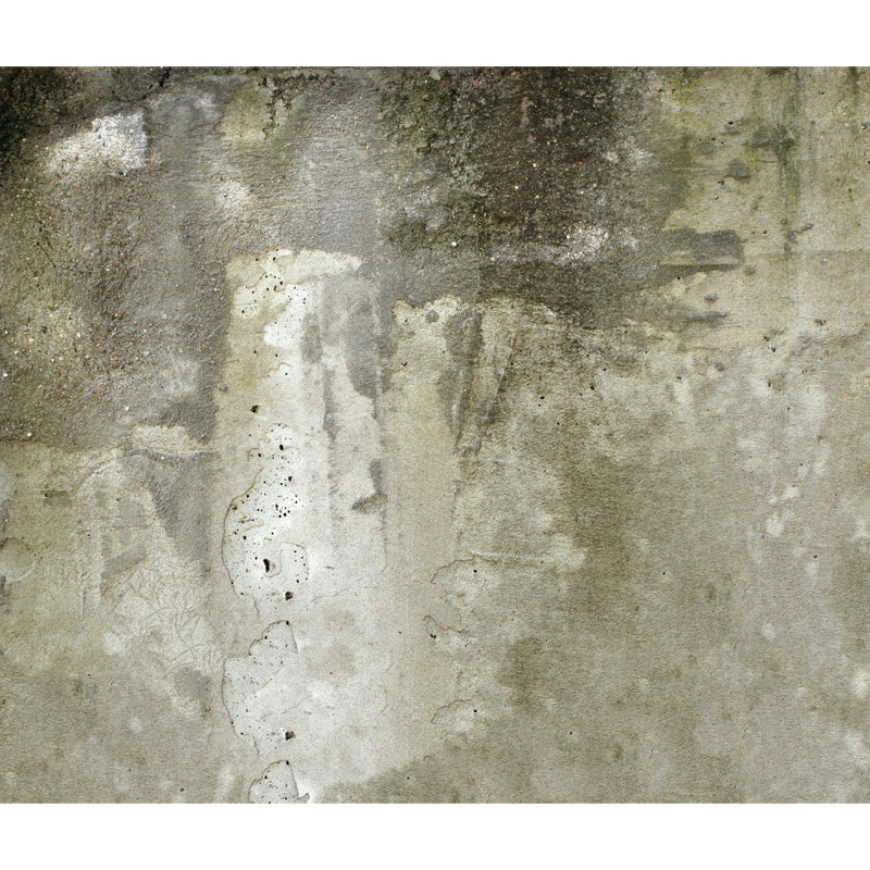 Shabby Stone Mural Wallpaper for Living Room, Light Color, Custom Size Available Clearhalo 'Wall Decor' 'Wall Mural' 1805947