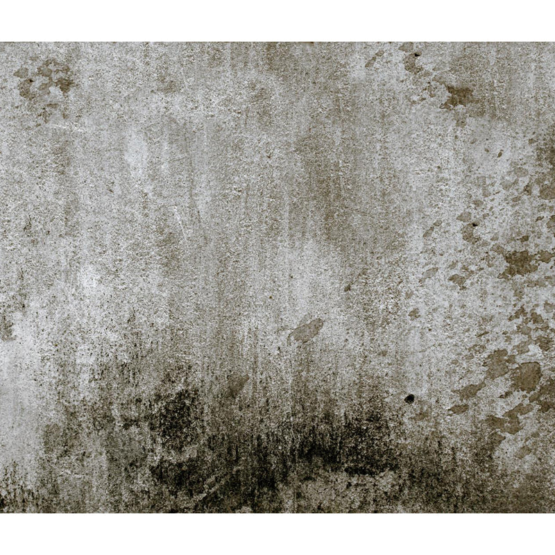 Photography Brickwork Wall Mural Decal for House Interior, Dark Color, Custom Print Clearhalo 'Wall Decor' 'Wall Mural' 1805992