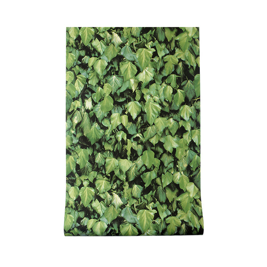 Non-Pasted 20.5-inch x 33-foot Fresh 3D Creeper and Boston Ivy Wallpaper for Restaurant and Dessert Shop Clearhalo 'Modern wall decor' 'Modern' 'Wallpaper' Wall Decor' 1806533