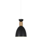 Dining Room Domed Suspension Light Metal Wood One Bulb Macaron Hanging Light Green Clearhalo 'Ceiling Lights' 'Modern Pendants' 'Modern' 'Pendant Lights' 'Pendants' Lighting' 182719
