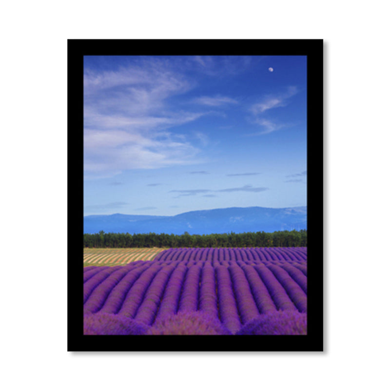 Lavender Field Scenery Art Print Farmhouse Canvas Wall Decor in Dark Color for Room Clearhalo 'Art Gallery' 'Canvas Art' 'Country Art Gallery' 'French Country' 'Rustic' Arts' 1859728