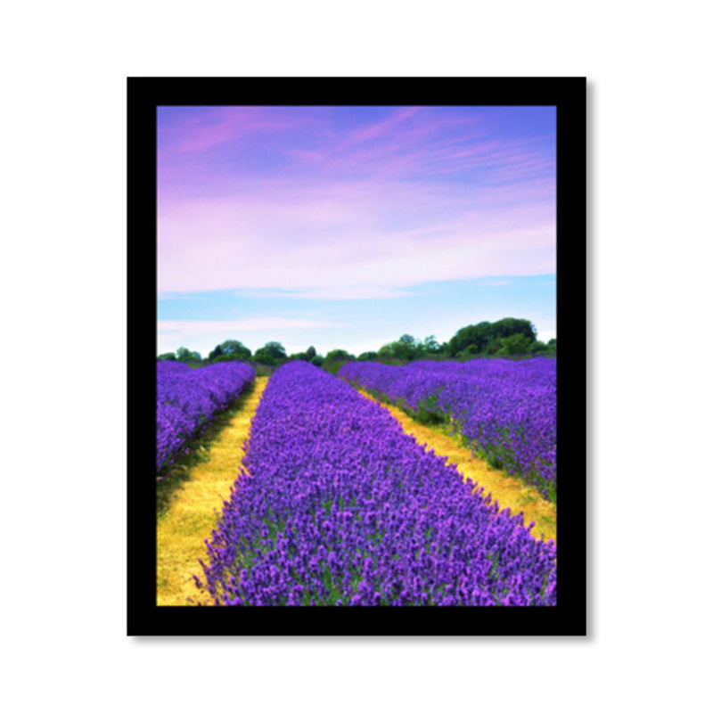 Lavender Field Scenery Art Print Farmhouse Canvas Wall Decor in Dark Color for Room Clearhalo 'Art Gallery' 'Canvas Art' 'Country Art Gallery' 'French Country' 'Rustic' Arts' 1859735