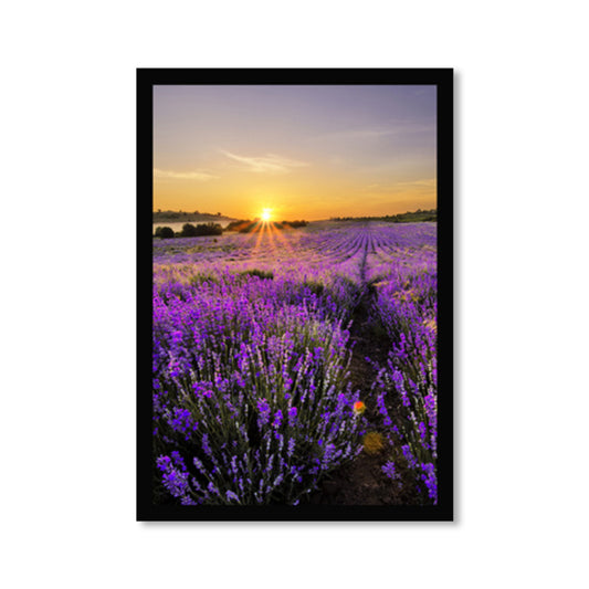 Lavender Field Scenery Art Print Farmhouse Canvas Wall Decor in Dark Color for Room Clearhalo 'Art Gallery' 'Canvas Art' 'Country Art Gallery' 'French Country' 'Rustic' Arts' 1859747