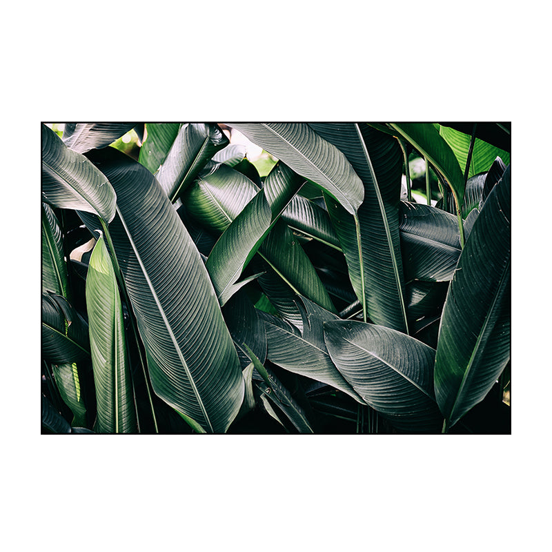 Banana Leaves Canvas Print Green Contemporary Style Wall Art Decor for Living Room Clearhalo 'Art Gallery' 'Canvas Art' 'Contemporary Art Gallery' 'Modern' Arts' 1859858