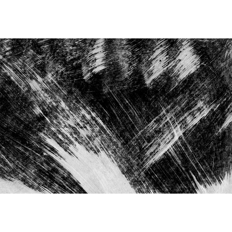 Stain-Proofing Brush Print Mural Decal Modern Non-Woven Material Wall Decor, Custom Clearhalo 'Wall Decor' 'Wall Mural' 1863379_4dfbb4e3-3c6a-46d2-85e1-0e92e4cab81c