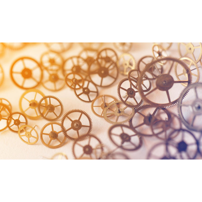 Photography Style Metal Gear Mural Decal Giant Wall Covering for Dining Room, Customised Clearhalo 'Wall Decor' 'Wall Mural' 1863454