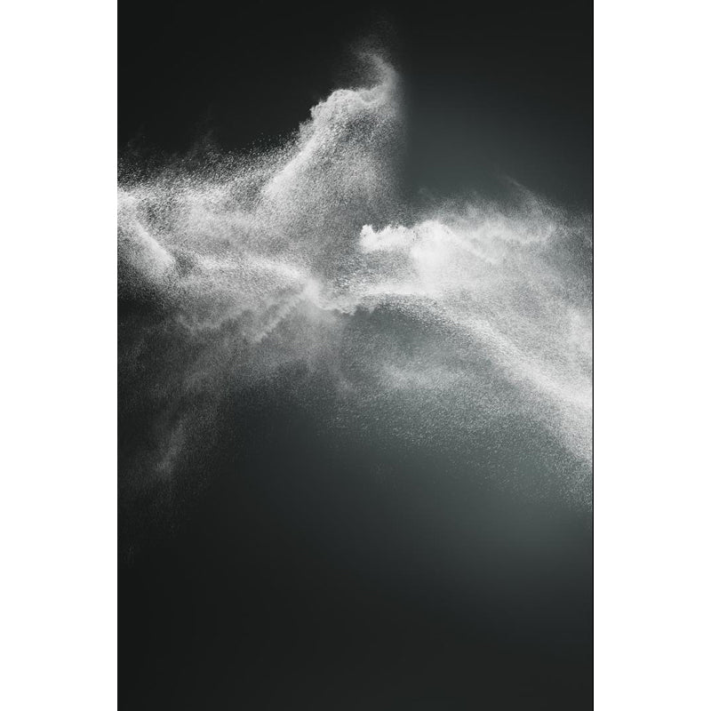 Photography Dust Mural Wallpaper for House Interior, Dark Color, Custom Size Available Clearhalo 'Wall Decor' 'Wall Mural' 1863599