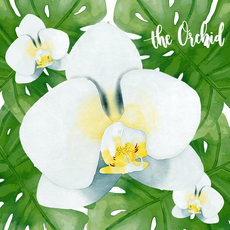 Botanical Leaves Mural Wallpaper Tropical Style Non-Woven Material Wall Covering Clearhalo 'Wall Decor' 'Wall Mural' 1864154