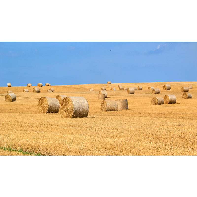 Photo Print Straws Wall Mural Decal for Dining Room, Light Color, Custom Size Available Clearhalo 'Wall Decor' 'Wall Mural' 1864519