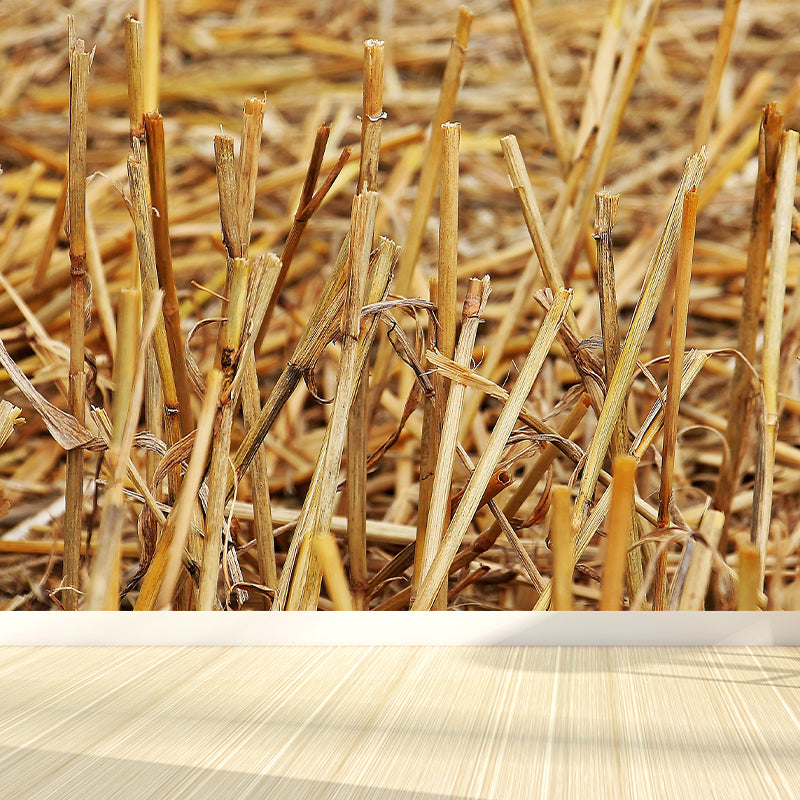 Photo Print Straws Wall Mural Decal for Dining Room, Light Color, Custom Size Available Brown Clearhalo 'Wall Decor' 'Wall Mural' 1864521