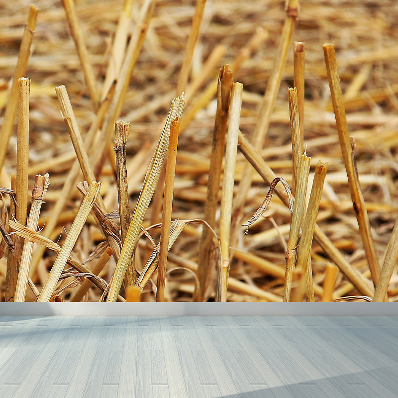 Photo Print Straws Wall Mural Decal for Dining Room, Light Color, Custom Size Available Clearhalo 'Wall Decor' 'Wall Mural' 1864522