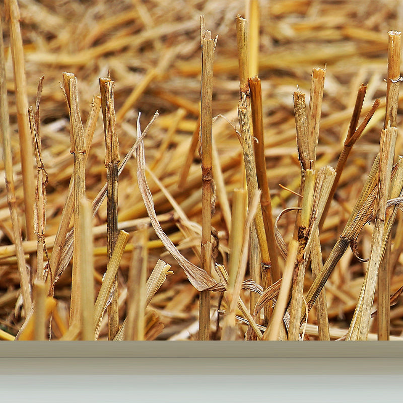 Photo Print Straws Wall Mural Decal for Dining Room, Light Color, Custom Size Available Clearhalo 'Wall Decor' 'Wall Mural' 1864523