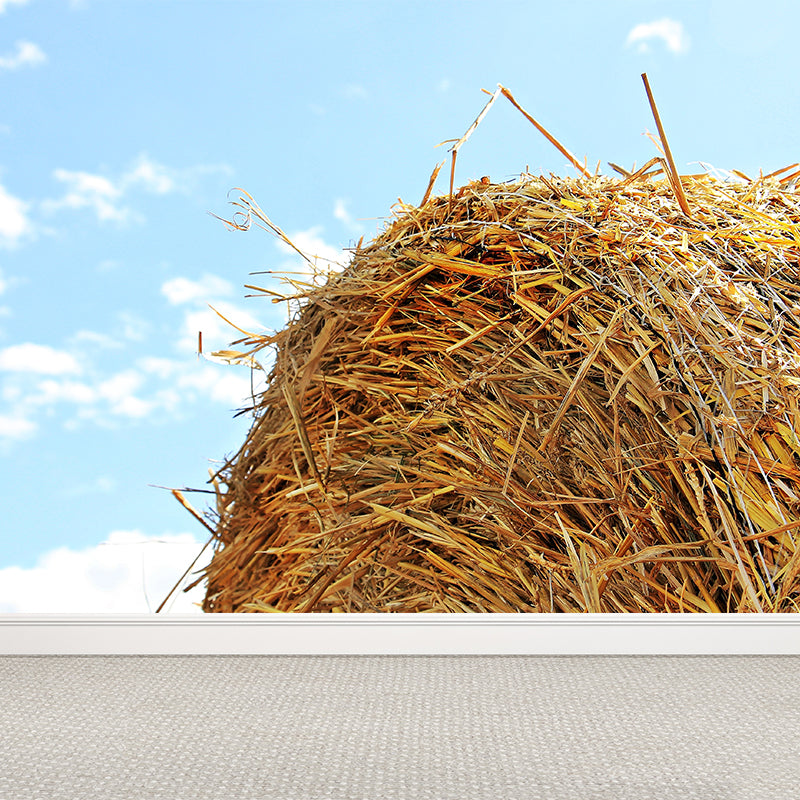 Photo Print Straws Wall Mural Decal for Dining Room, Light Color, Custom Size Available Sky Blue Clearhalo 'Wall Decor' 'Wall Mural' 1864526