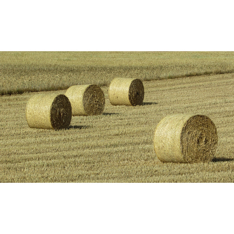 Photo Print Straws Wall Mural Decal for Dining Room, Light Color, Custom Size Available Clearhalo 'Wall Decor' 'Wall Mural' 1864534