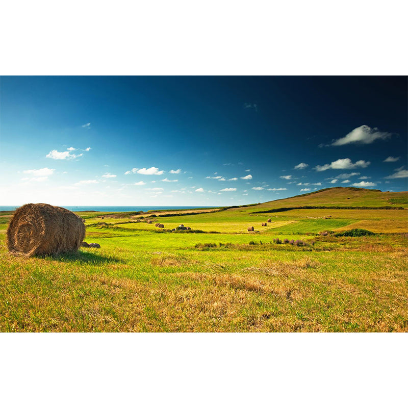 Huge Stalk Stubble Mural Decal Living Room Nature Scenery Wall Covering in Light Color, Waterproof Clearhalo 'Wall Decor' 'Wall Mural' 1864739