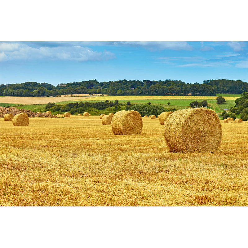 Huge Stalk Stubble Mural Decal Living Room Nature Scenery Wall Covering in Light Color, Waterproof Clearhalo 'Wall Decor' 'Wall Mural' 1864744