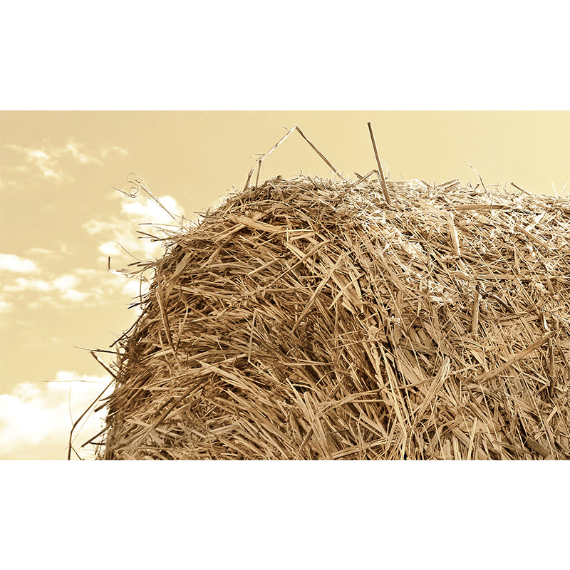 Huge Stalk Stubble Mural Decal Living Room Nature Scenery Wall Covering in Light Color, Waterproof Clearhalo 'Wall Decor' 'Wall Mural' 1864754