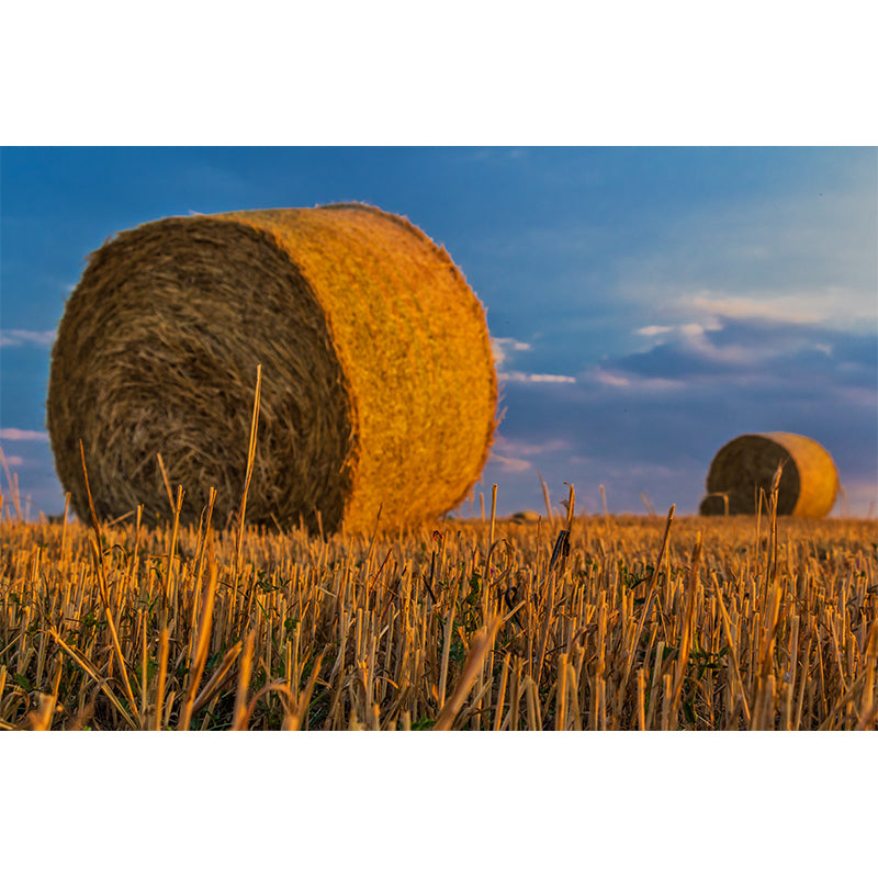 Huge Stalk Stubble Mural Decal Living Room Nature Scenery Wall Covering in Light Color, Waterproof Clearhalo 'Wall Decor' 'Wall Mural' 1864759