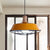 Wire Cage Metal Suspension Lamp with Barn Shade Retro Style 1 Bulb Dining Room Ceiling Fixture in Blue/Green/Red Yellow Clearhalo 'Art Deco Pendants' 'Cast Iron' 'Ceiling Lights' 'Ceramic' 'Crystal' 'Industrial Pendants' 'Industrial' 'Metal' 'Middle Century Pendants' 'Pendant Lights' 'Pendants' 'Tiffany' Lighting' 1885763