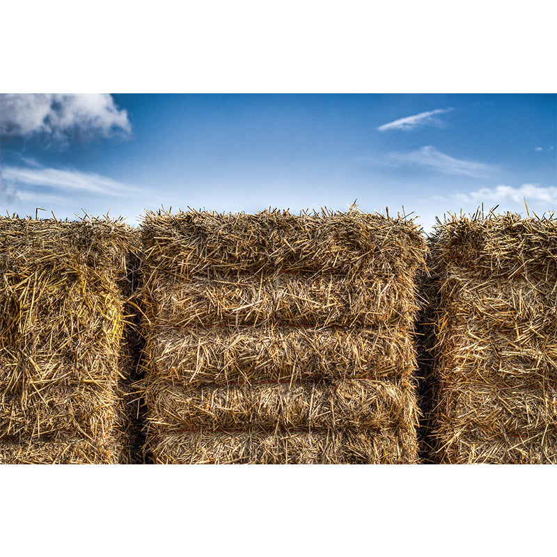 Modern Scenery Stacked Hay Mural Dark Color Stained Resistant Wall Art for Bedroom Clearhalo 'Wall Decor' 'Wall Mural' 1895636