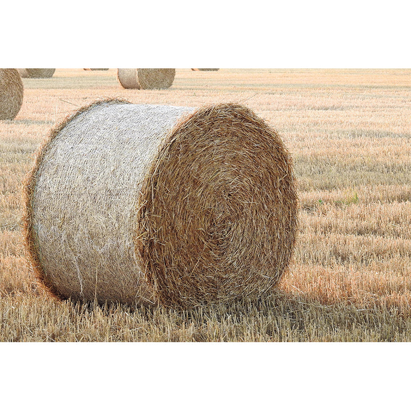 Modern Scenery Stacked Hay Mural Dark Color Stained Resistant Wall Art for Bedroom Clearhalo 'Wall Decor' 'Wall Mural' 1895651