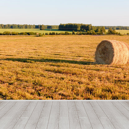 Farmland Haystack Mural Wallpaper Contemporary Non-Woven Fabric Wall Decor for Home Brown Clearhalo 'Wall Decor' 'Wall Mural' 1895658