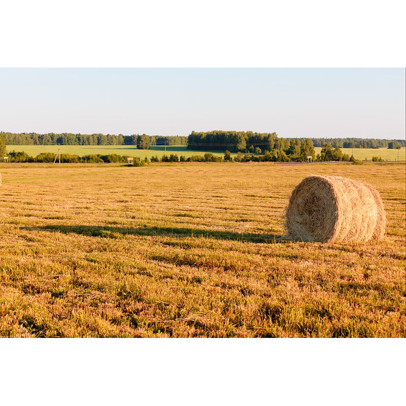 Farmland Haystack Mural Wallpaper Contemporary Non-Woven Fabric Wall Decor for Home Clearhalo 'Wall Decor' 'Wall Mural' 1895661