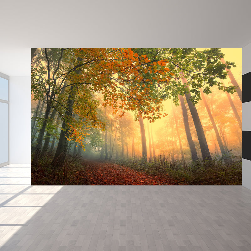Misty Forest Landscape Wallpaper Mural Contemporary Smooth Wall Covering in Dark Color Orange Clearhalo 'Wall Decor' 'Wall Mural' 1895833