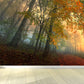 Misty Forest Landscape Wallpaper Mural Contemporary Smooth Wall Covering in Dark Color Clearhalo 'Wall Decor' 'Wall Mural' 1895834