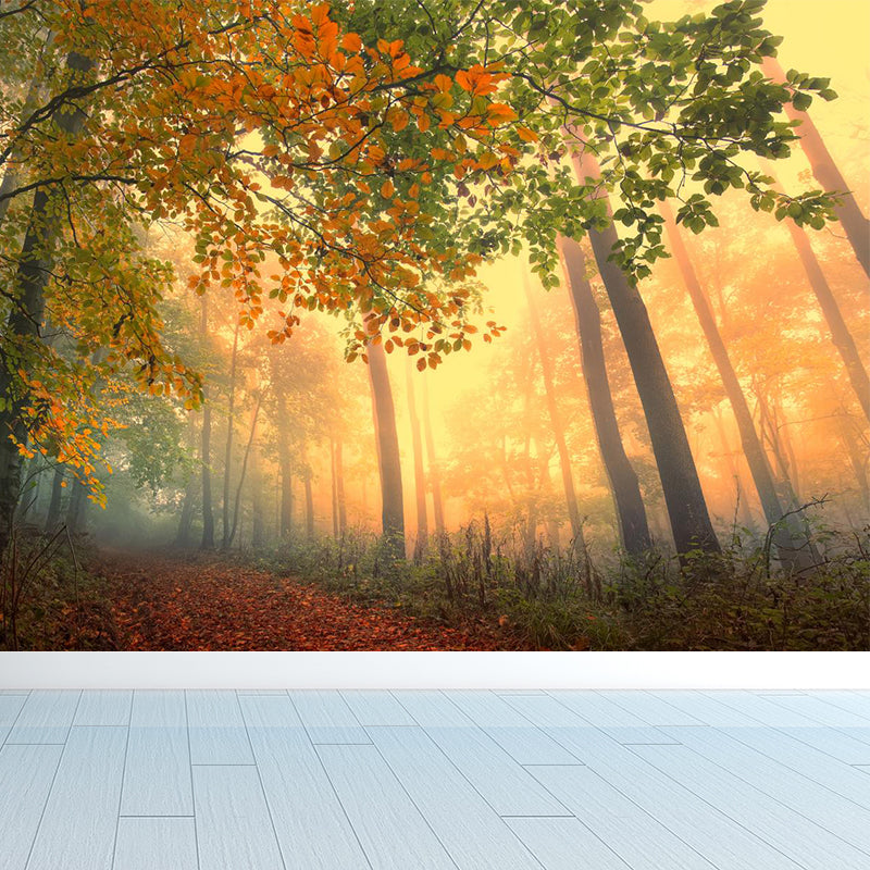 Misty Forest Landscape Wallpaper Mural Contemporary Smooth Wall Covering in Dark Color Clearhalo 'Wall Decor' 'Wall Mural' 1895835