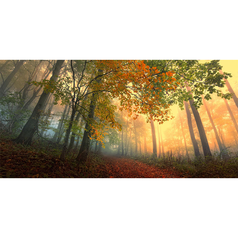 Misty Forest Landscape Wallpaper Mural Contemporary Smooth Wall Covering in Dark Color Clearhalo 'Wall Decor' 'Wall Mural' 1895836