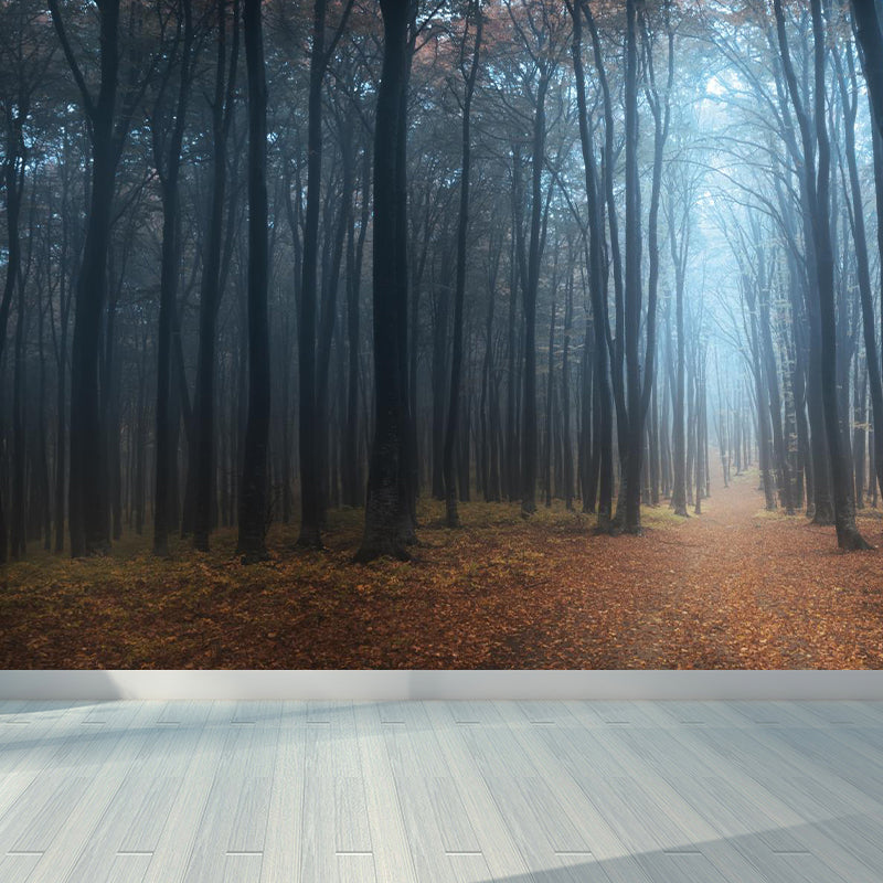 Misty Forest Landscape Wallpaper Mural Contemporary Smooth Wall Covering in Dark Color Clearhalo 'Wall Decor' 'Wall Mural' 1895845