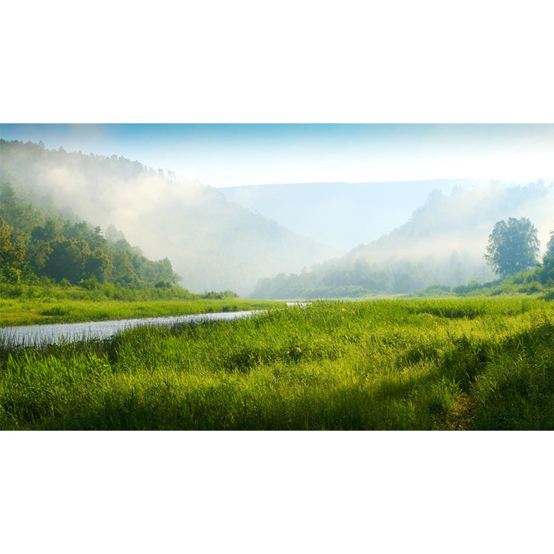 Misty Forest Landscape Wallpaper Mural Contemporary Smooth Wall Covering in Dark Color Clearhalo 'Wall Decor' 'Wall Mural' 1895856