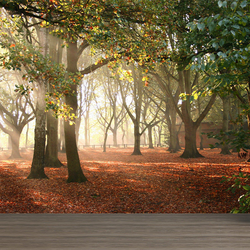 Photographic Misty Forest Wall Mural Big Wall Decor for House Interior, Custom Size Green Clearhalo 'Wall Decor' 'Wall Mural' 1895883