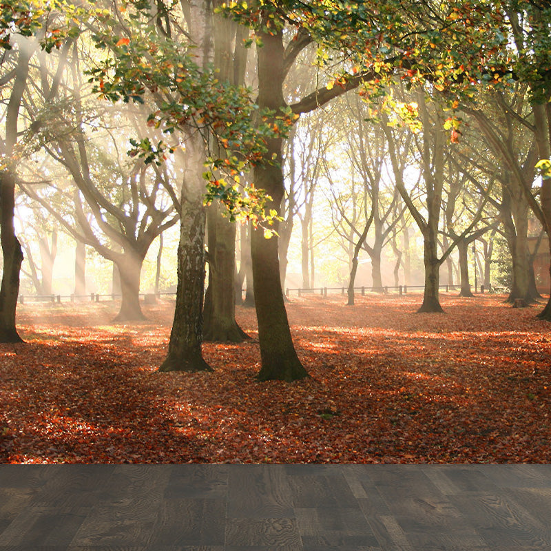 Photographic Misty Forest Wall Mural Big Wall Decor for House Interior, Custom Size Clearhalo 'Wall Decor' 'Wall Mural' 1895885