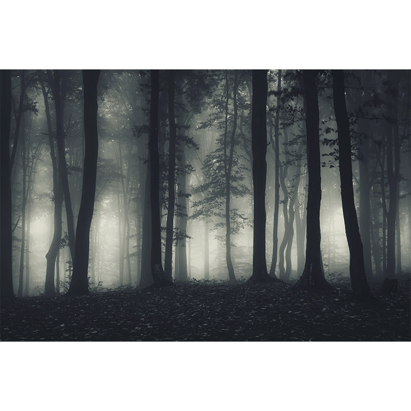 Photographic Misty Forest Wall Mural Big Wall Decor for House Interior, Custom Size Clearhalo 'Wall Decor' 'Wall Mural' 1895891
