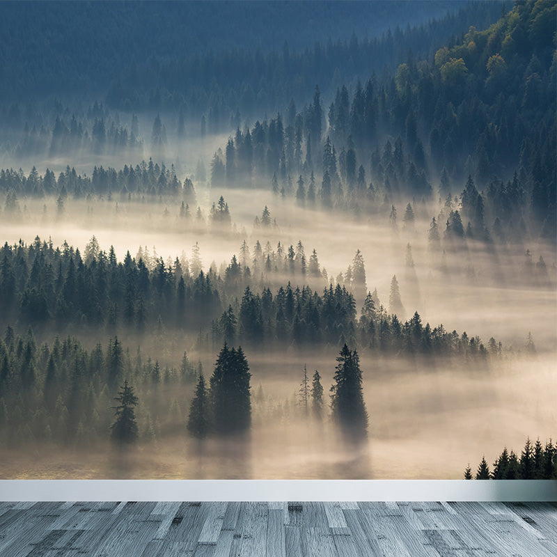 Photographic Misty Forest Wall Mural Big Wall Decor for House Interior, Custom Size Clearhalo 'Wall Decor' 'Wall Mural' 1895894